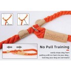 Anti-Pull Dog Leash - Orange