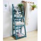 4 Tier Foldable Plant Ladder Shelf-Blue