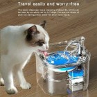 Clear Cat Fountain