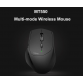 Rapoo MT550 2.4G/Bluetooth Wireless Mouse