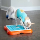 Outward Hound Challenge Slider Interactive Treat Puzzle Dog Toy