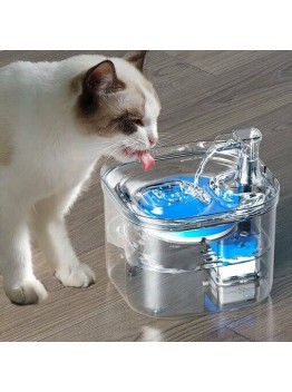Clear Cat Fountain
