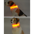Pet Dog Flashing Safety Collar L